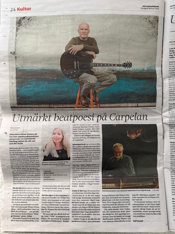 Hbl recension (År som löv 5.2.26 Nordhuset)